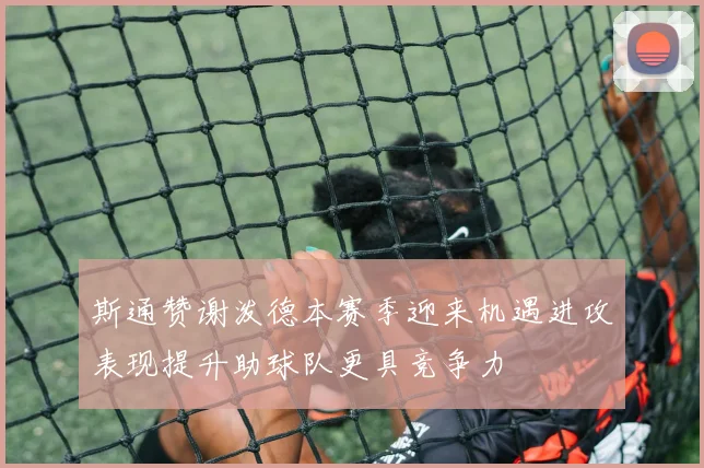 斯通赞谢泼德本赛季迎来机遇进攻表现提升助球队更具竞争力